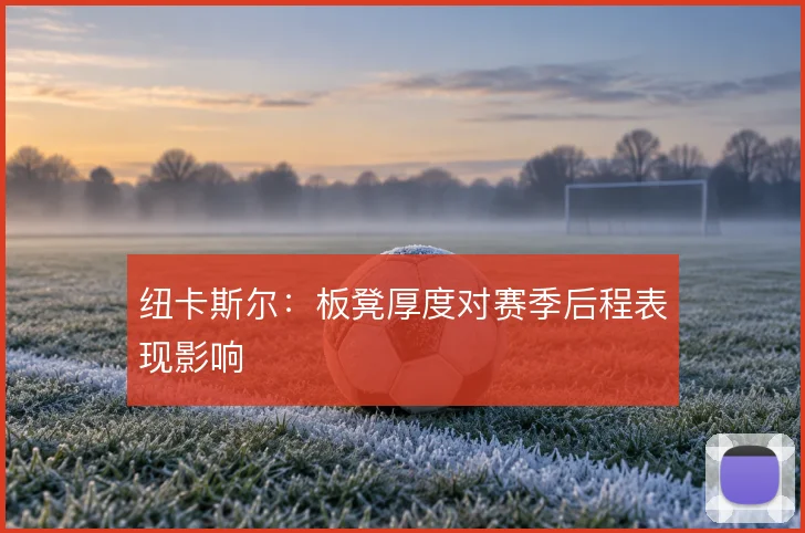纽卡斯尔：板凳厚度对赛季后程表现影响