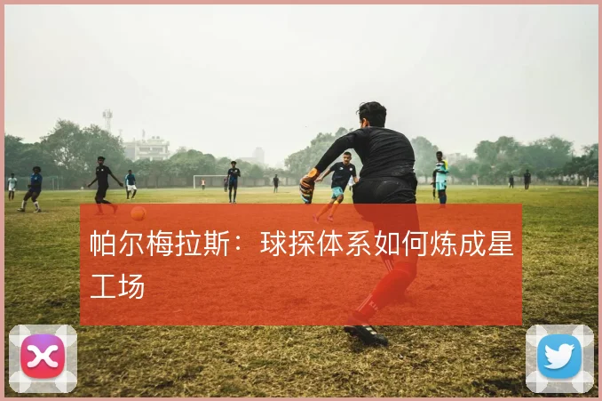 帕尔梅拉斯：球探体系如何炼成星工场