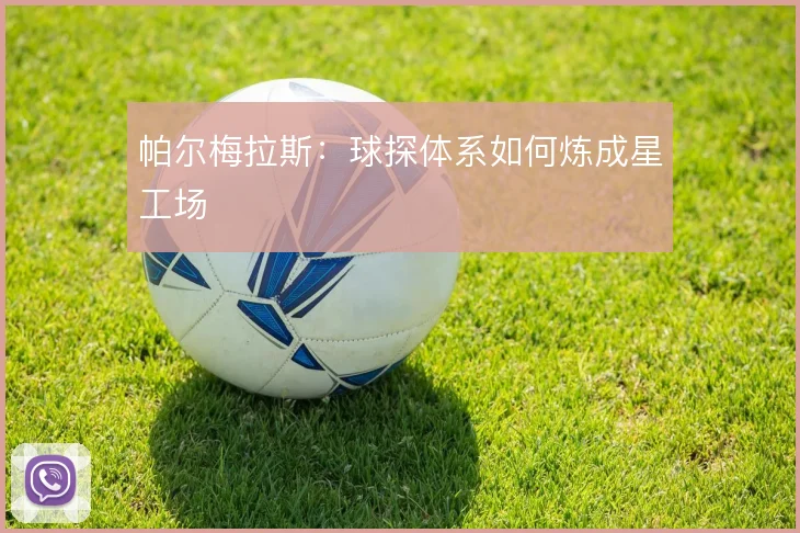 帕尔梅拉斯：球探体系如何炼成星工场